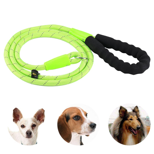 Hi-VIS Pet Dog Training Leash with Soft Handle – Durable, Comfortable & Easy to Control