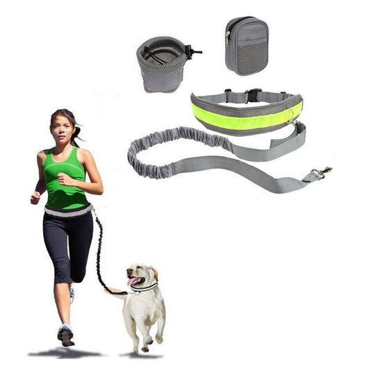 Retractable Pet Running Leash Set – 4-Piece Hands-Free Kit, Rope Length: 144–192cm